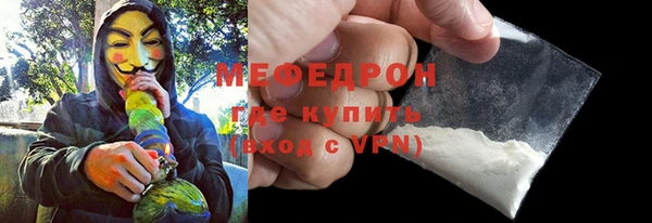 хмурый Аркадак