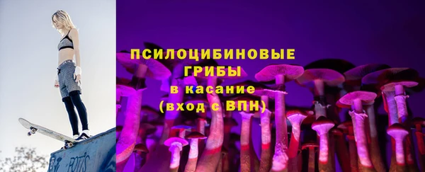 хмурый Аркадак