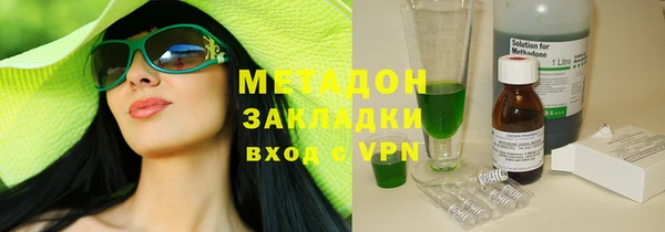 хмурый Аркадак