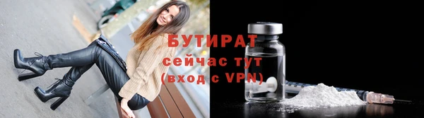 хмурый Аркадак