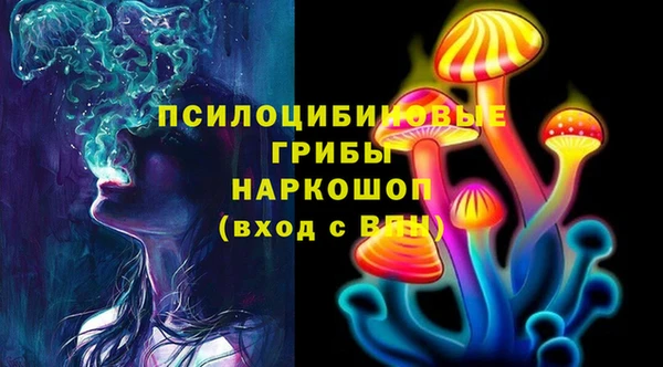 мдпв Арсеньев