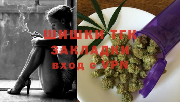 хмурый Аркадак