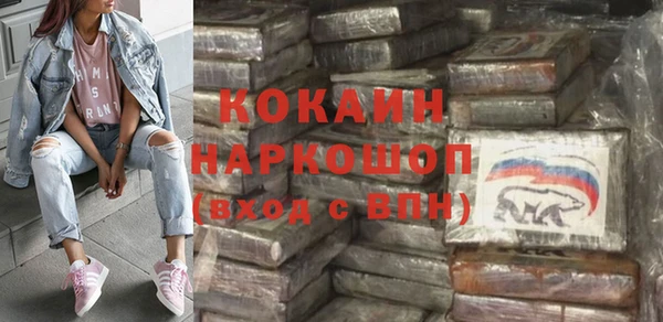 хмурый Аркадак