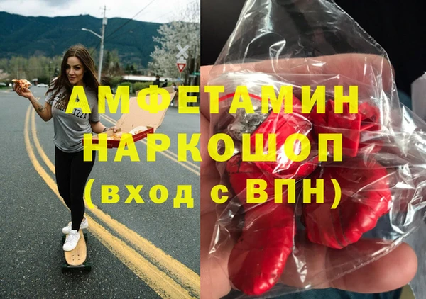 хмурый Аркадак
