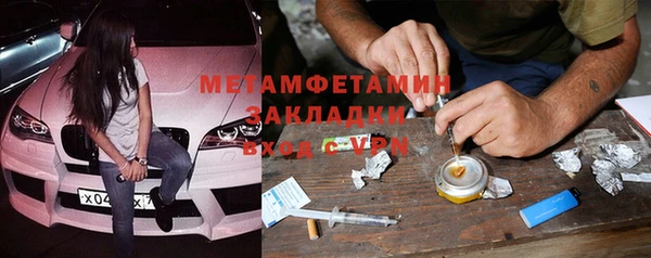 хмурый Аркадак